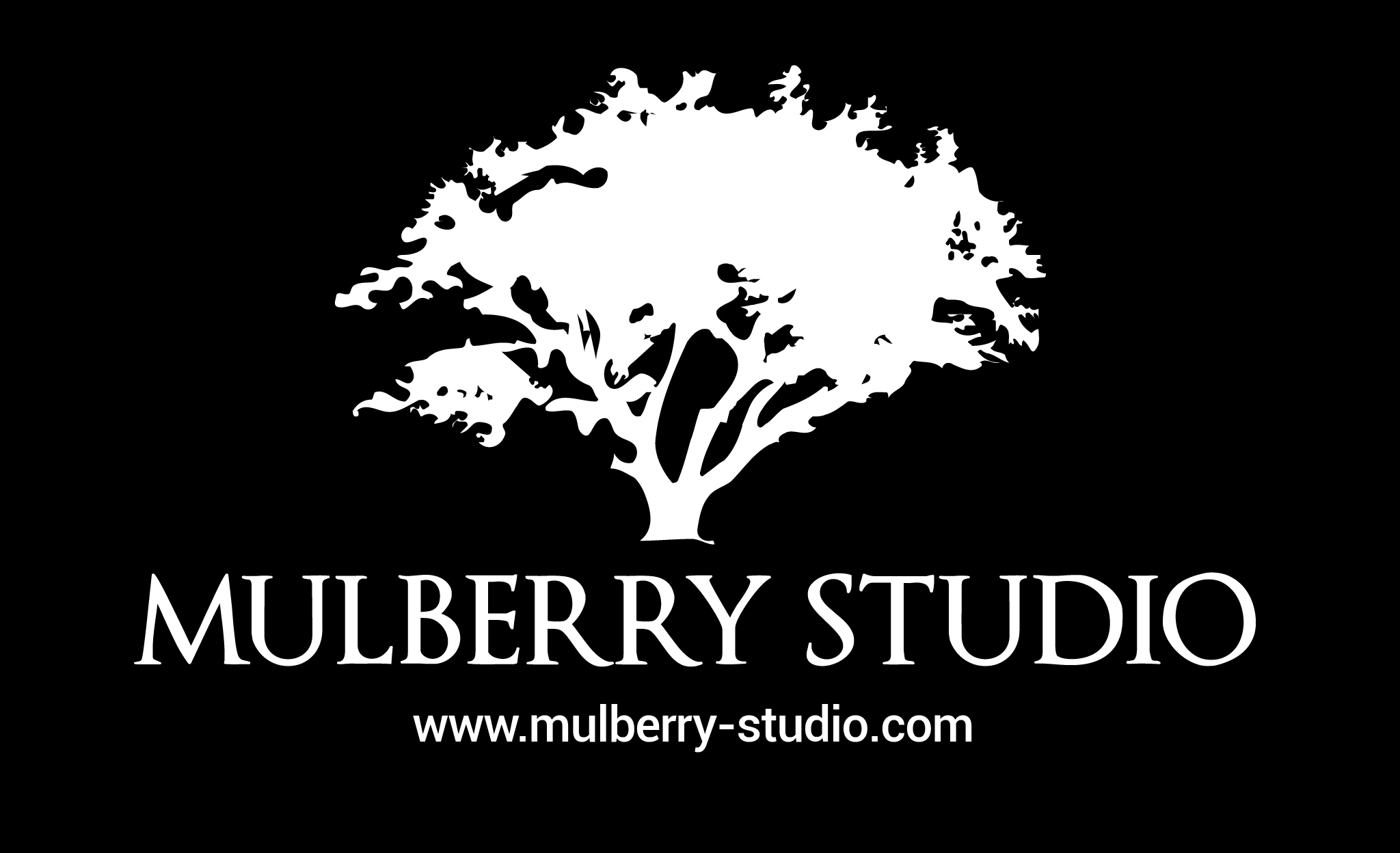 Mulberry Studio West Cork